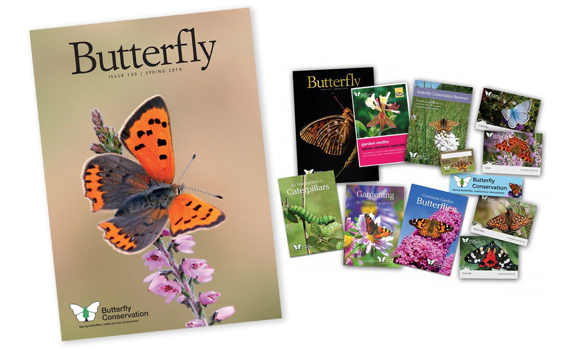 Join Butterfly Conservation Today