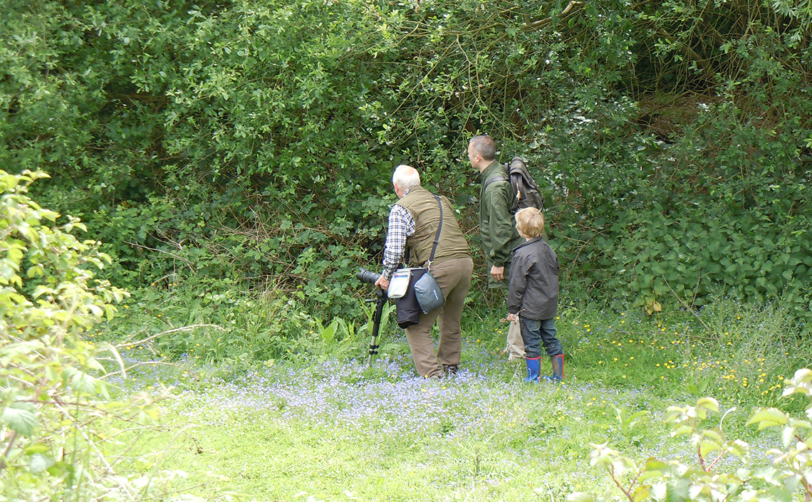 Three generations hunting for butterflies at Ryton Wood Meadows in 2011 - © 2011-2024 Steven Cheshire